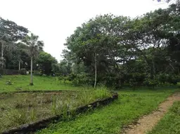 Vista 3