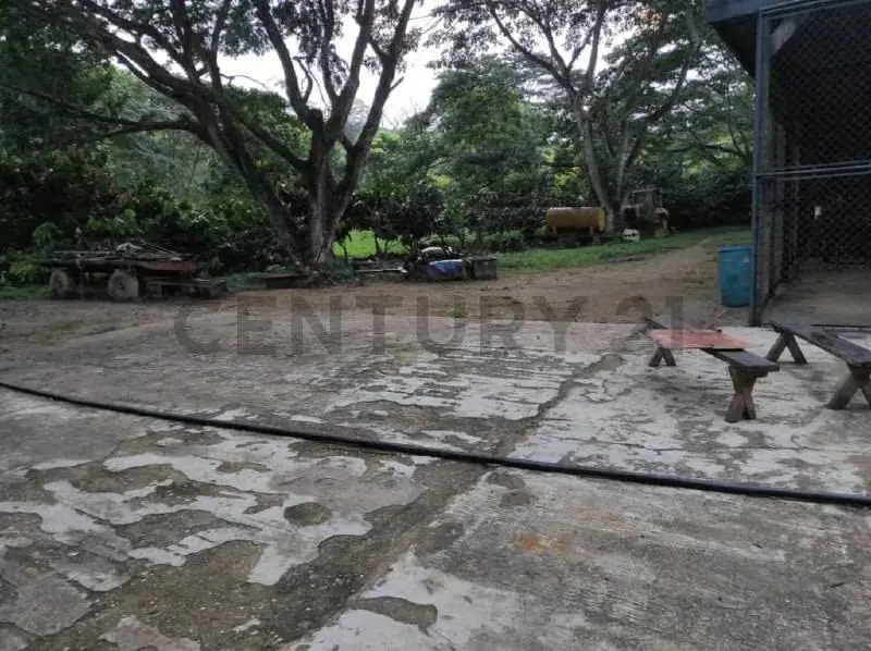 finca en venta las lapas - 4