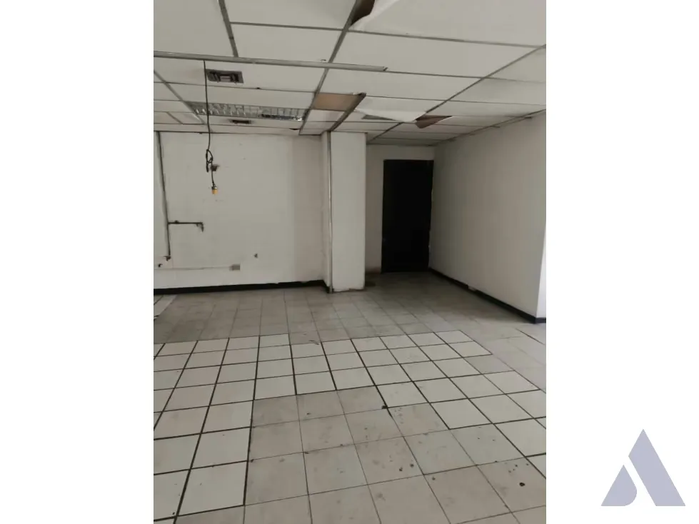Vendo local comercial c/ galpón 1049m2 Lebrun 2150 - 3