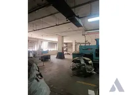 View 5
