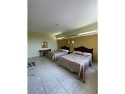 Vista 12