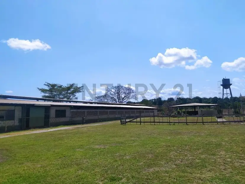 Finca en Valles del Tuy de 6,45 hectáreas, ideal para la cría de caballos TC