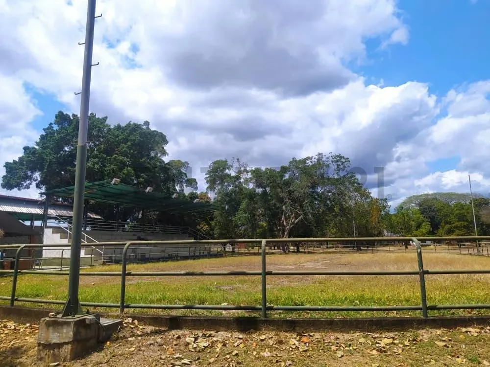 Finca en Valles del Tuy de 6,45 hectáreas, ideal para la cría de caballos TC - 3