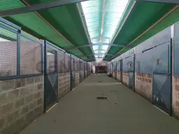 Vista 4