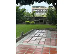 Vista 5