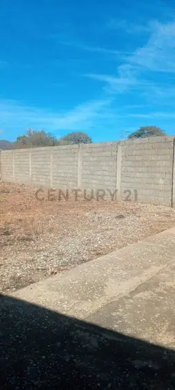 View 6