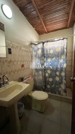 Vista 19