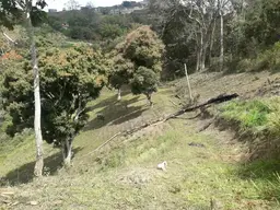 Vista 1
