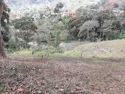 Vista 11