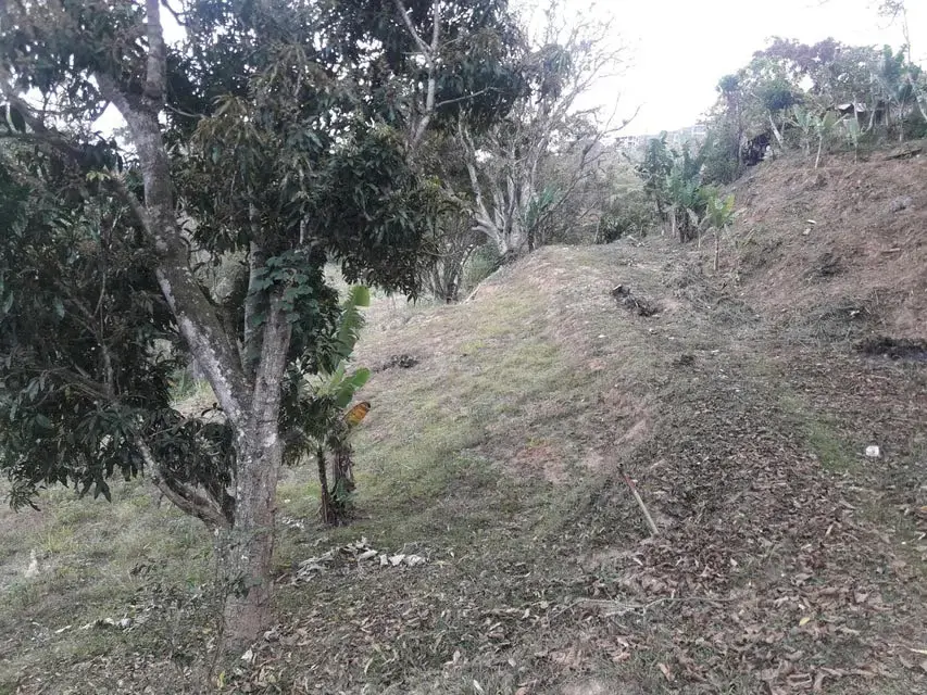 Terreno (Comercial) en Venta en Oripoto, Distrito Metropolitano - 12