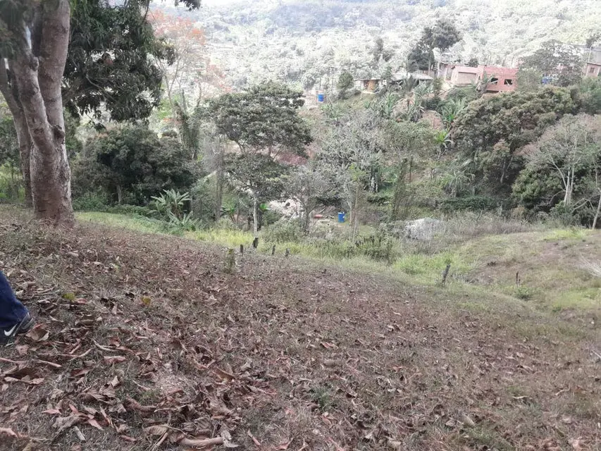 Terreno (Comercial) en Venta en Oripoto, Distrito Metropolitano - 13