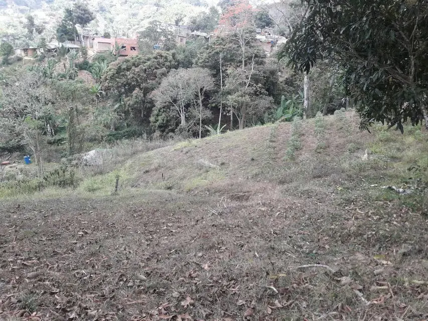 Terreno (Comercial) en Venta en Oripoto, Distrito Metropolitano - 14