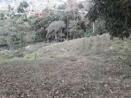 Vista 14