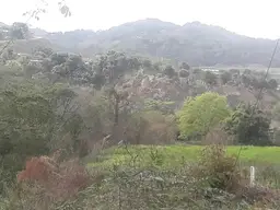 Vista 16