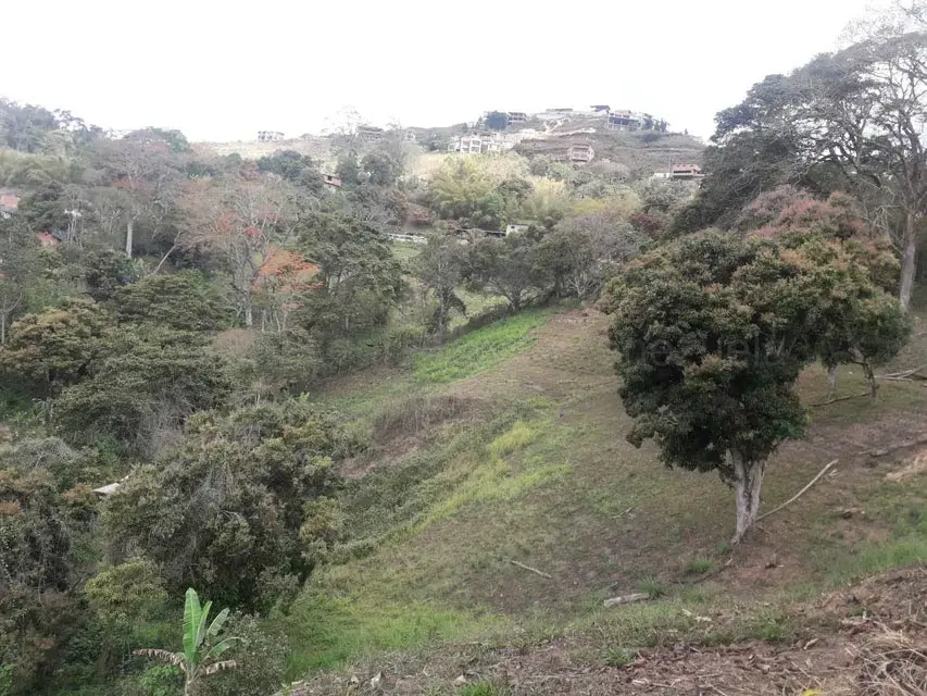 Terreno (Comercial) en Venta en Oripoto, Distrito Metropolitano - 2