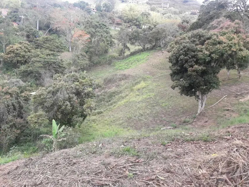 Terreno (Comercial) en Venta en Oripoto, Distrito Metropolitano - 3