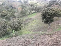 Vista 3