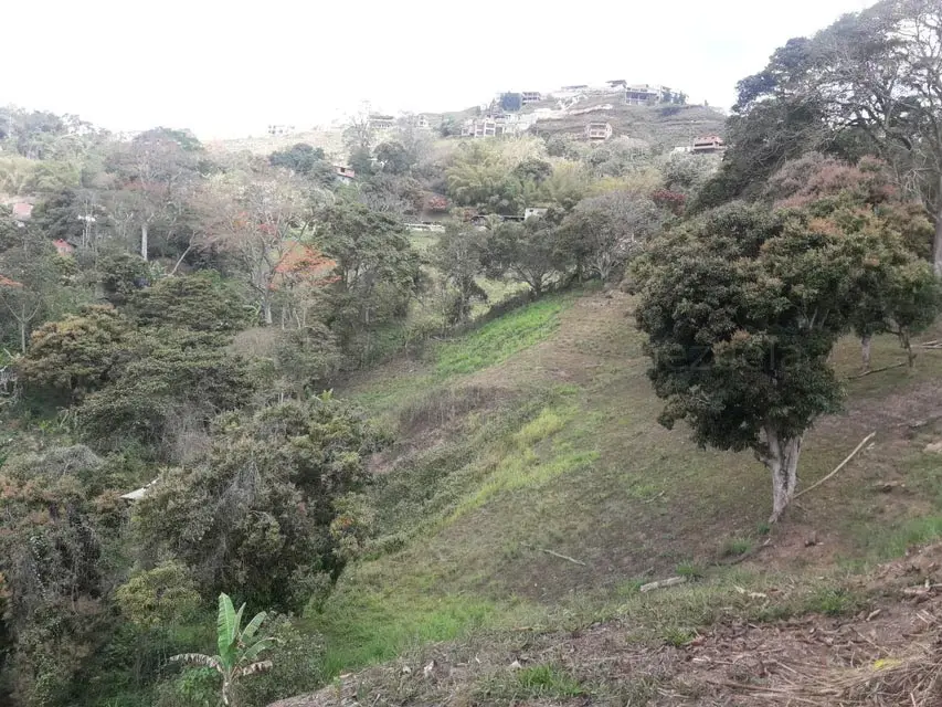 Terreno (Comercial) en Venta en Oripoto, Distrito Metropolitano - 4