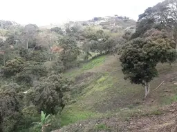 Vista 4