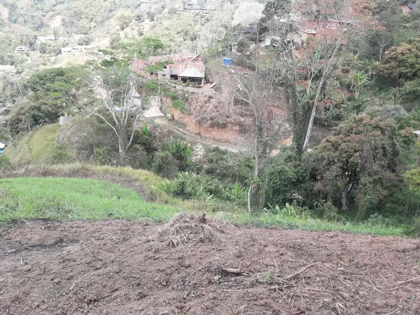 Terreno (Comercial) en Venta en Oripoto, Distrito Metropolitano - 5
