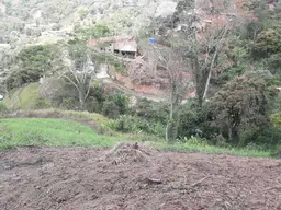 Vista 5