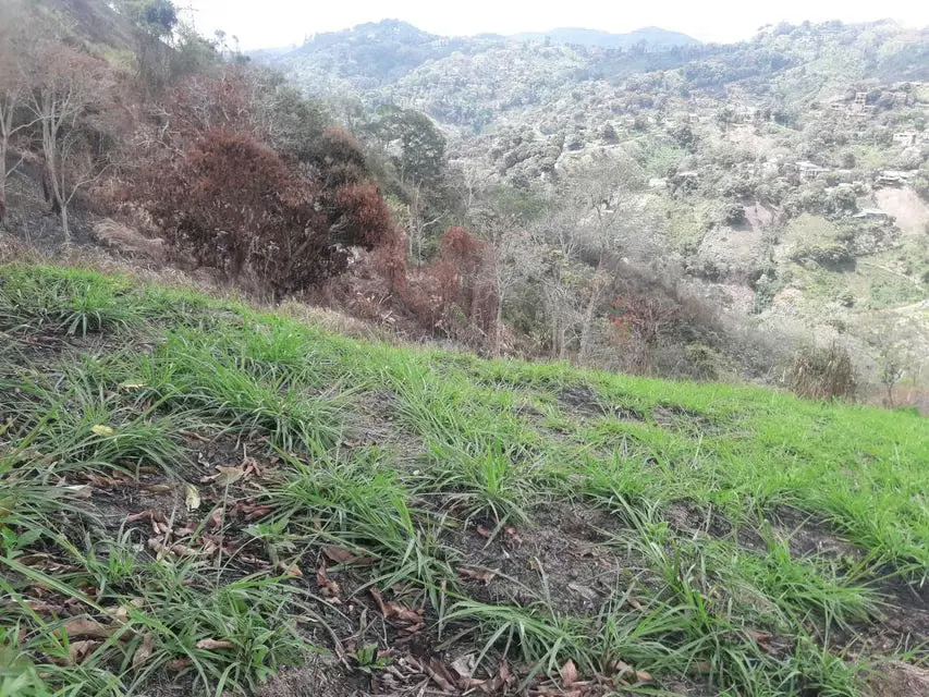 Terreno (Comercial) en Venta en Oripoto, Distrito Metropolitano - 6