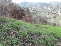 Vista 6