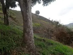Vista 7