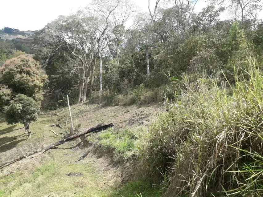 Terreno (Comercial) en Venta en Oripoto, Distrito Metropolitano - 8