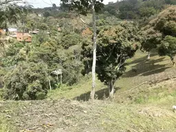 Vista 9