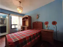 Vista 17