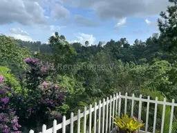 View 82