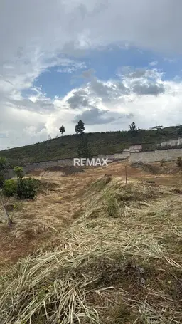 Vista 4