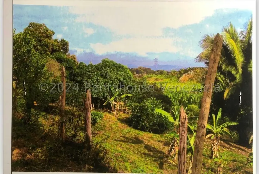 Terreno (Finca) en Venta en Merecure, Miranda