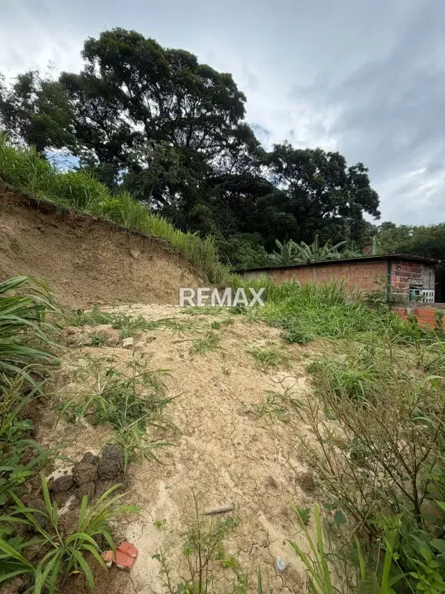 EN VENTA Parcela terraceada en Santa Teresa Detrás de Villa olímpica - 3