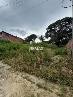 View 5