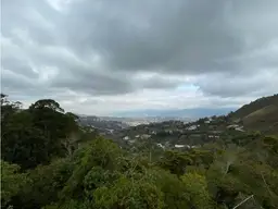 View 3