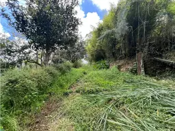 View 11