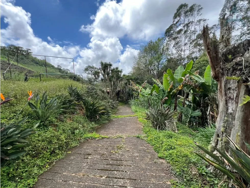 Se vende Terreno 14500m² 2p Club de Campo - 9