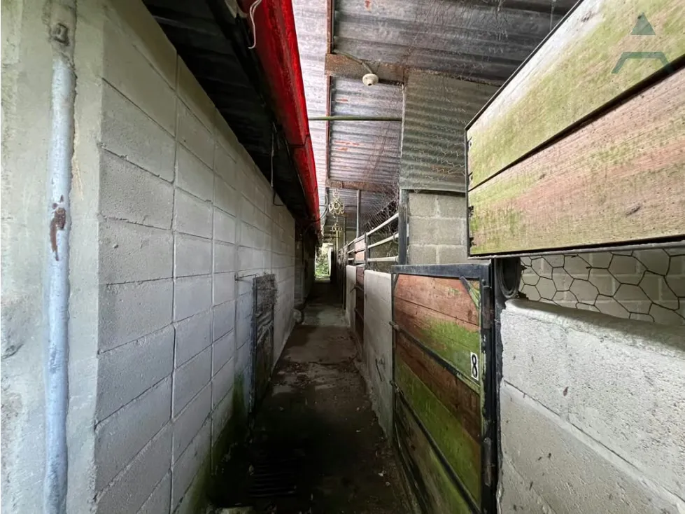 Se vende Terreno 14500m² 2p Club de Campo - 10