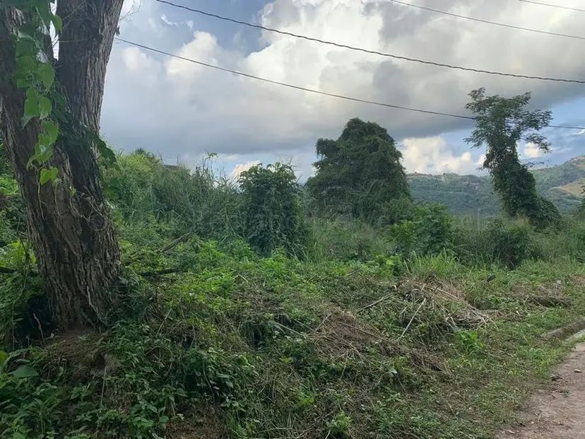 Terreno (Residencial) en Venta en Caicaguana, Distrito Metropolitano