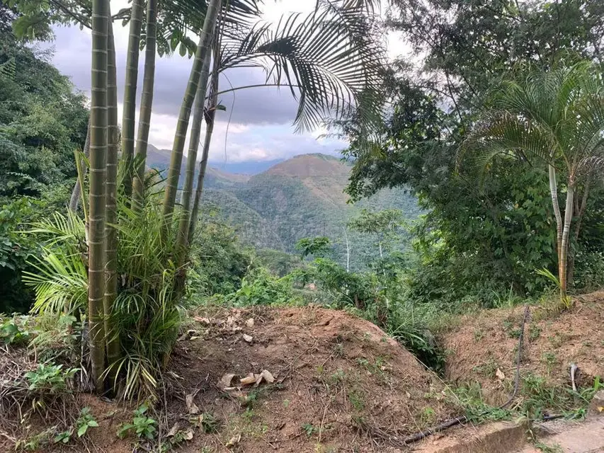 Terreno (Residencial) en Venta en Caicaguana, Distrito Metropolitano - 11