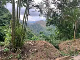View 11