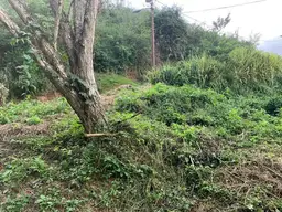 View 13