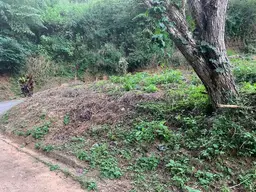 View 14