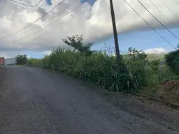 View 15