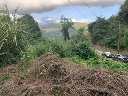 View 16