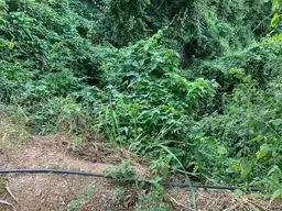 View 18
