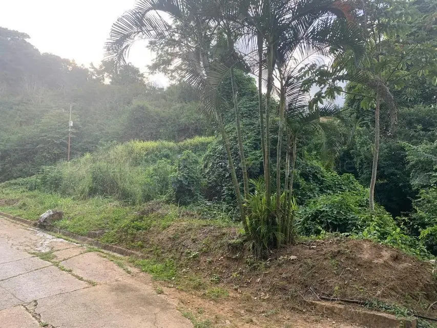 Terreno (Residencial) en Venta en Caicaguana, Distrito Metropolitano - 3