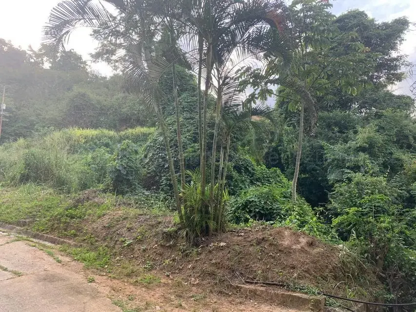 Terreno (Residencial) en Venta en Caicaguana, Distrito Metropolitano - 4